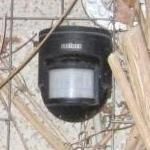 Einbruchschutz Bewegungsmelder